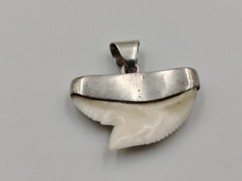 Stary srebrny damski wisiorek/zawieszka z zęba REKINA - VINTAGE biżuteria